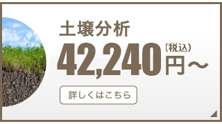 土壌検査